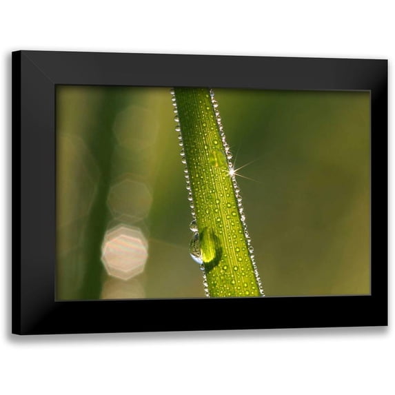 Rossmeissl, Gerhard 14x11 Black Modern Framed Museum Art Print Titled - Der Sonnenstrahl