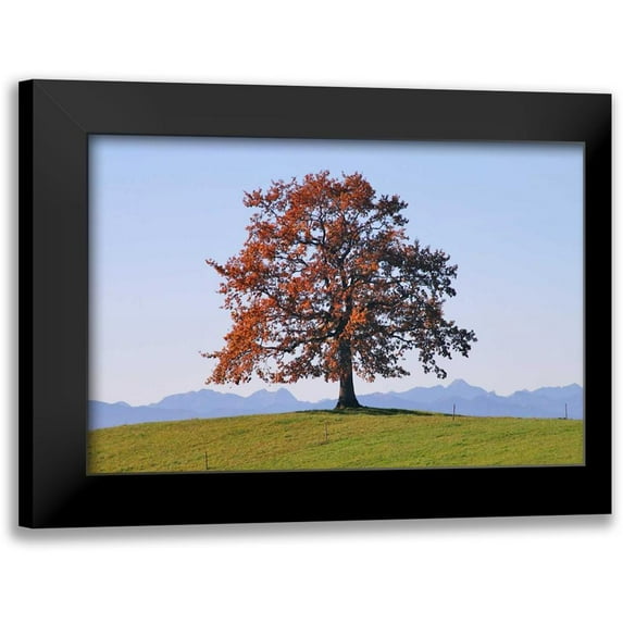 Rossmeissl, Gerhard 18x13 Black Modern Framed Museum Art Print Titled - Der Baum