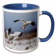 thumbnail image 1 of 3drose, Rosss Geese Alighting, 15oz Two-tone Blue Mug, 1 of 6