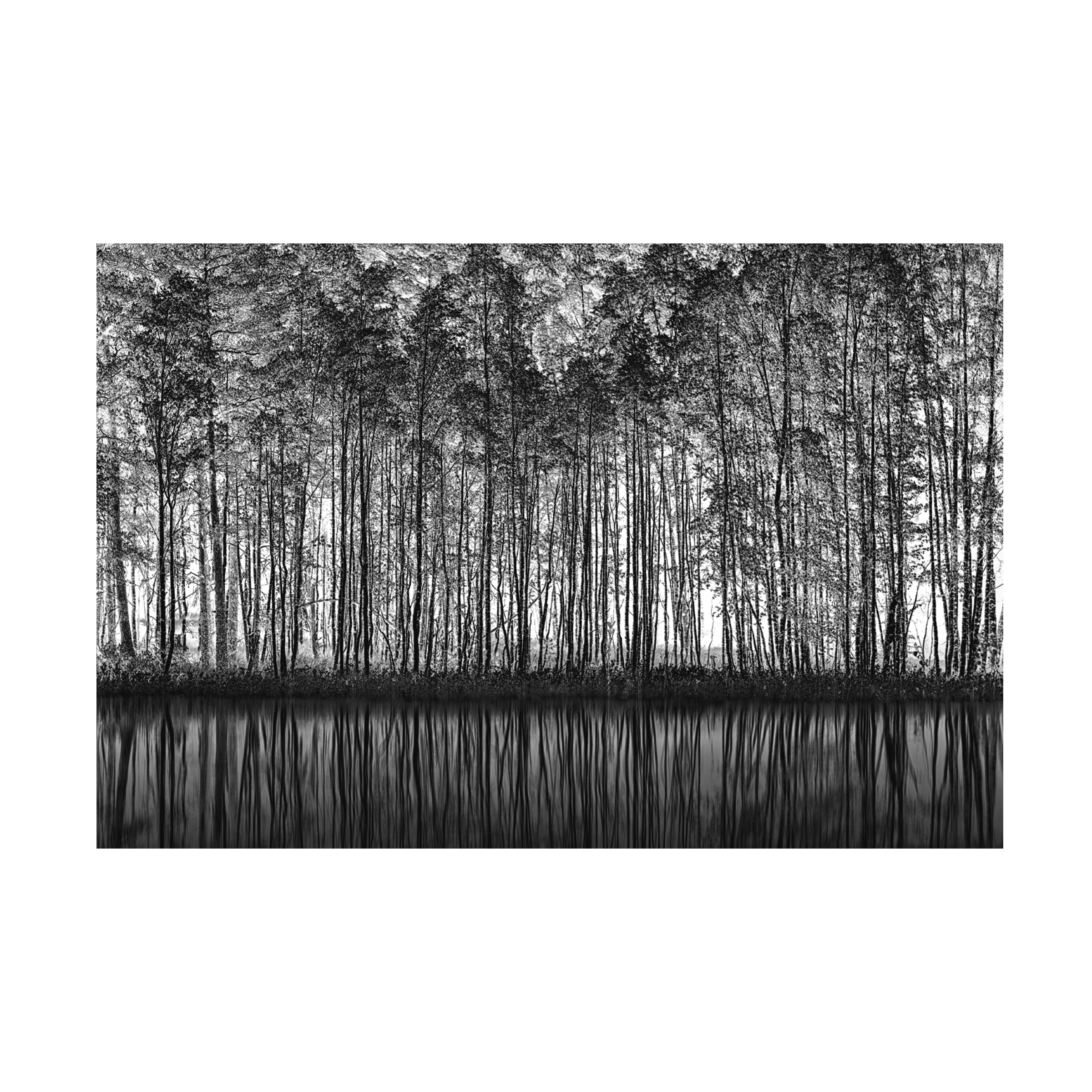 Roswitha Schleicher Schwarz 'Pointillism Nature' Canvas Art