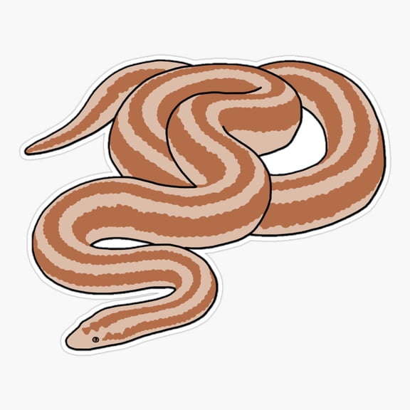 Rosy Boa Snake Reptile Sticker