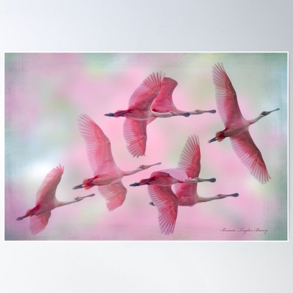 Rosy Skies Poster Wall Art, Modern Wall Decor For Living Room Bedroom, 8x12 UNFRAMED