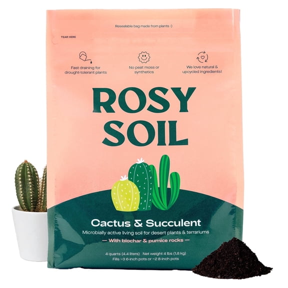 Rosy Soil Cactus and Succulent Potting Soil Mix, Organic Fast Draining Soil with Biochar, Peat Free Soil for Healthy Roots, Cacti, Succulents, 4 qt
