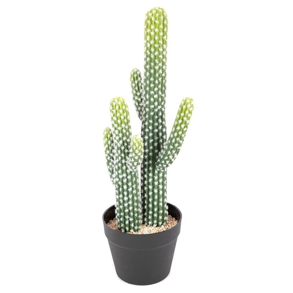 RosyHaven 23" Realistic Artificial Cactus Plants, Cute Faux Cactus Plants Indoor for Home Office Store Porch Patio Table Decor