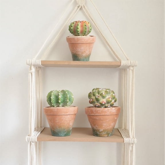 RosyHaven 7.7"+7.9"+7.9" Faux Succulents in Terracotta Pot with Warm White & Color Changing Light,3Pack Light Faux Cactus, Small Fake Succulents for Table Desk Bathroom Kitchen Shelf