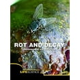 thumbnail image 1 of Pre-Owned Rot and Decay: Decomposing and Recycling (Library Binding) 1600446027 9781600446023, 1 of 1