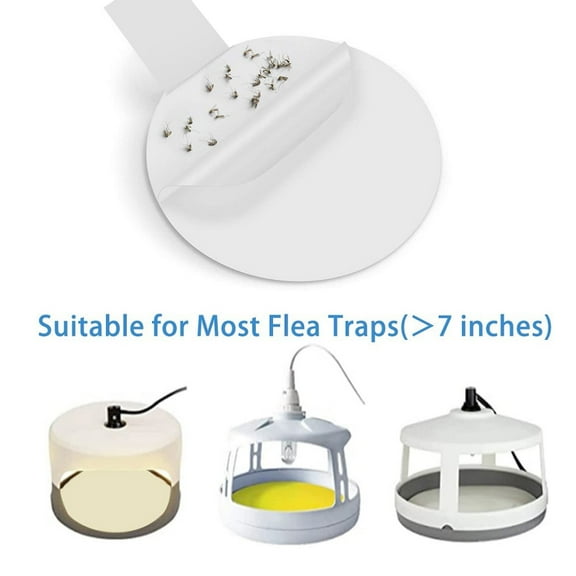RotHome Flea Trap Refill Discs 7.1-Inch Sticky Glue Pads for Indoor Dome Traps Replacement for Flying Insects, Mosquitoes, Wasps, Bed Bugs, and Flies, 1 Pack