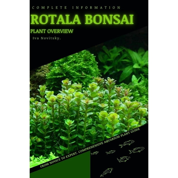 Rotala Bonsai : From Novice to Expert. Comprehensive Aquarium Plants Guide (Paperback)