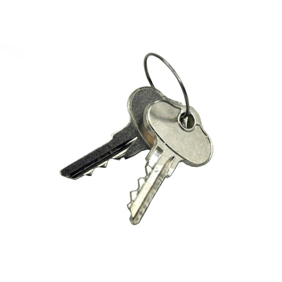 Rotary Replacement Ignition Key For Mowers - 12128