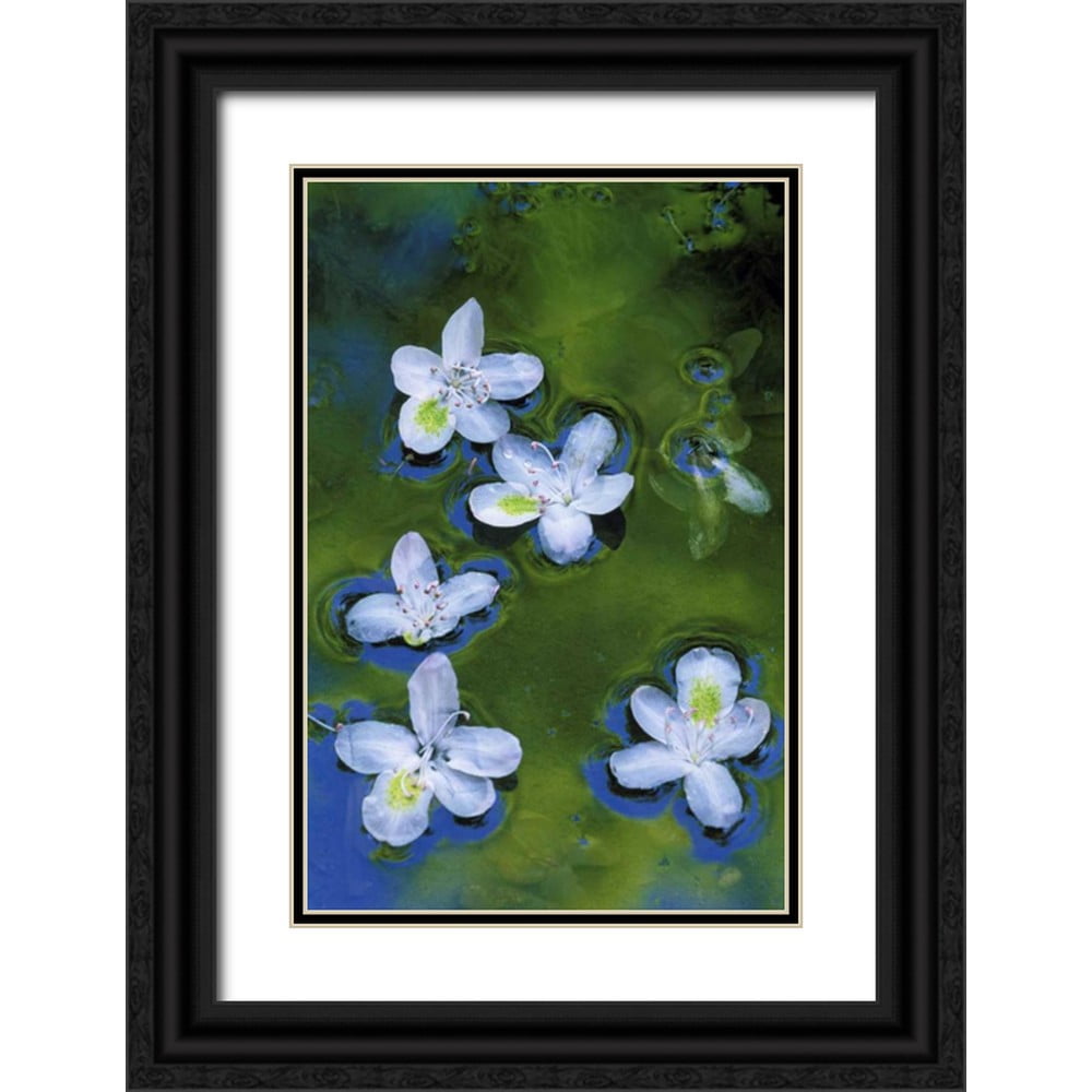 Rotenberg, Nancy 11x14 Black Ornate Wood Framed with Double Matting ...