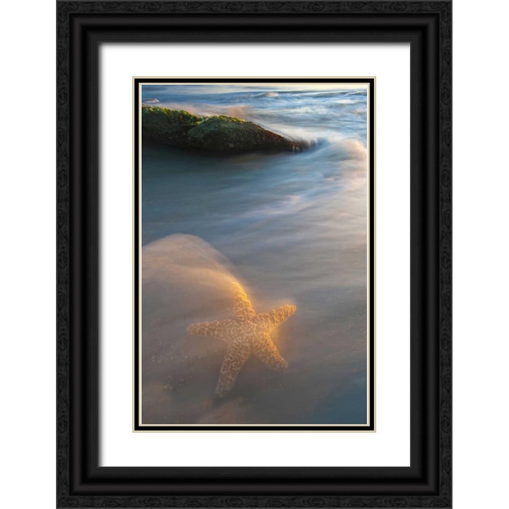 Rotenberg, Nancy 11x14 Black Ornate Wood Framed with Double Matting ...