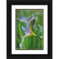 thumbnail image 1 of Rotenberg, Nancy 11x14 Black Ornate Wood Framed with Double Matting Museum Art Print Titled - USA, Pennsylvania Two dragonflies on iris flower, 1 of 4