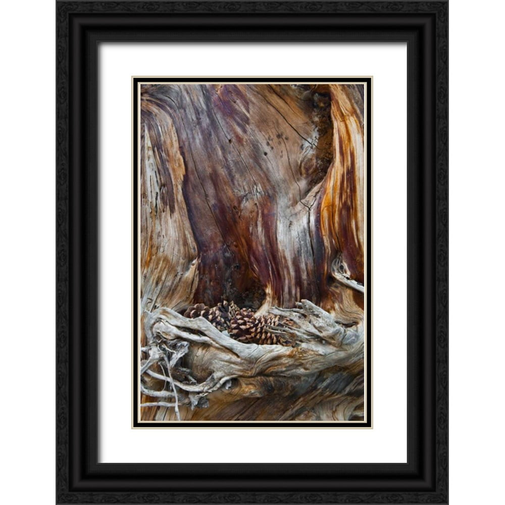 Rotenberg, Nancy 11x14 Black Ornate Wood Framed with Double Matting ...