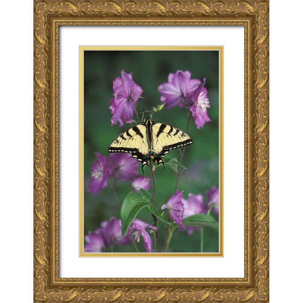 Rotenberg, Nancy 11x14 Gold Ornate Wood Framed with Double Matting ...