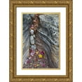 thumbnail image 1 of Rotenberg, Nancy 11x14 Gold Ornate Wood Framed with Double Matting Museum Art Print Titled - UT, Zion NP Canyon crevice with fallen leaves, 1 of 4
