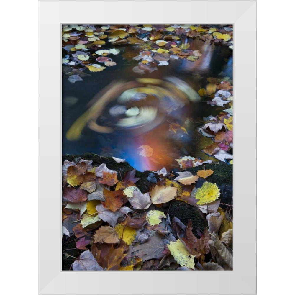 Rotenberg, Nancy 11x14 White Modern Wood Framed Museum Art Print Titled ...