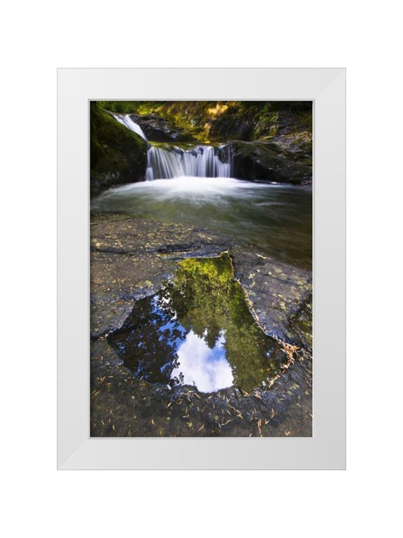 Rotenberg, Nancy 11x14 White Modern Wood Framed Museum Art Print Titled - OR, Sweet Creek Trees and clouds in a Puddle