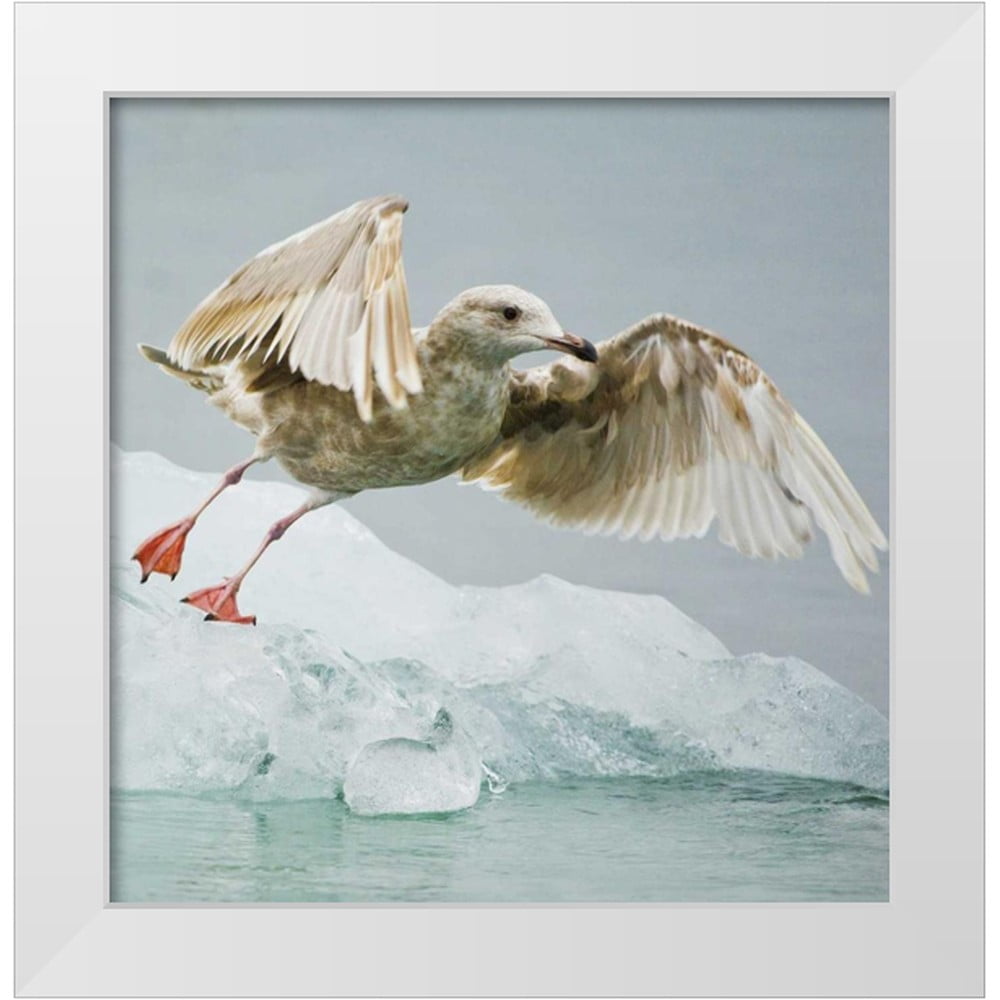 Rotenberg, Nancy 12x12 White Modern Wood Framed Museum Art Print Titled ...