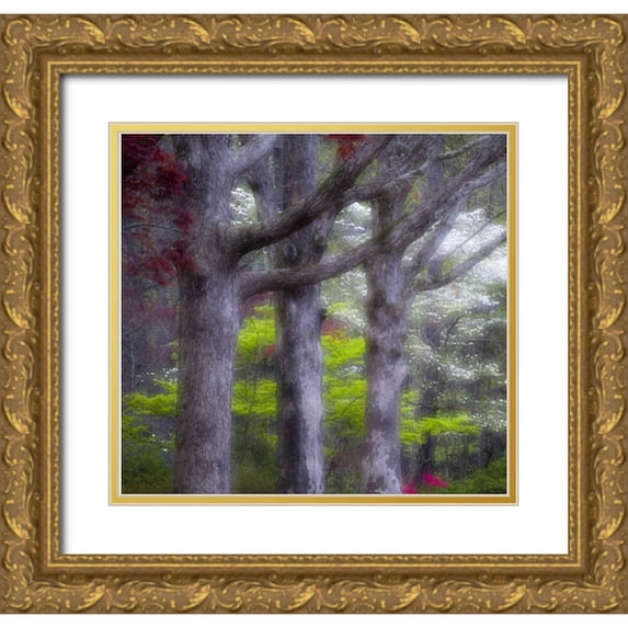 Rotenberg, Nancy 13x12 Gold Ornate Wood Framed with Double Matting Museum Art Print Titled - GA, Impressionistic trees and flowering bushes