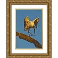 thumbnail image 1 of Rotenberg, Nancy 13x18 Gold Ornate Wood Framed with Double Matting Museum Art Print Titled - FL, St Augustine Wood stork dances on tree limb, 1 of 4