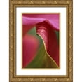 thumbnail image 1 of Rotenberg, Nancy 13x18 Gold Ornate Wood Framed with Double Matting Museum Art Print Titled - Pink calla lily, close-up, 1 of 4