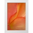 thumbnail image 1 of Rotenberg, Nancy 13x18 White Modern Wood Framed Museum Art Print Titled - Begonia Petal Close-up, 1 of 4