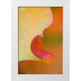thumbnail image 1 of Rotenberg, Nancy 13x18 White Modern Wood Framed Museum Art Print Titled - Flower Petal with Rain Drop, 1 of 4