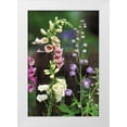 thumbnail image 1 of Rotenberg, Nancy 13x18 White Modern Wood Framed Museum Art Print Titled - Pennsylvania Foxglove and delphinium on fence, 1 of 4