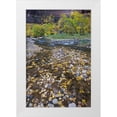 thumbnail image 1 of Rotenberg, Nancy 13x18 White Modern Wood Framed Museum Art Print Titled - USA, Utah, Zion NP Fallen Leaves in The Narrows, 1 of 4