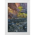 thumbnail image 1 of Rotenberg, Nancy 13x18 White Modern Wood Framed Museum Art Print Titled - UT, Zion NP The Narrows with cottonwood trees, 1 of 4