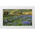 thumbnail image 1 of Rotenberg, Nancy 14x10 White Modern Wood Framed Museum Art Print Titled - CO, Crested Butte Fence in a mountain valley, 1 of 4