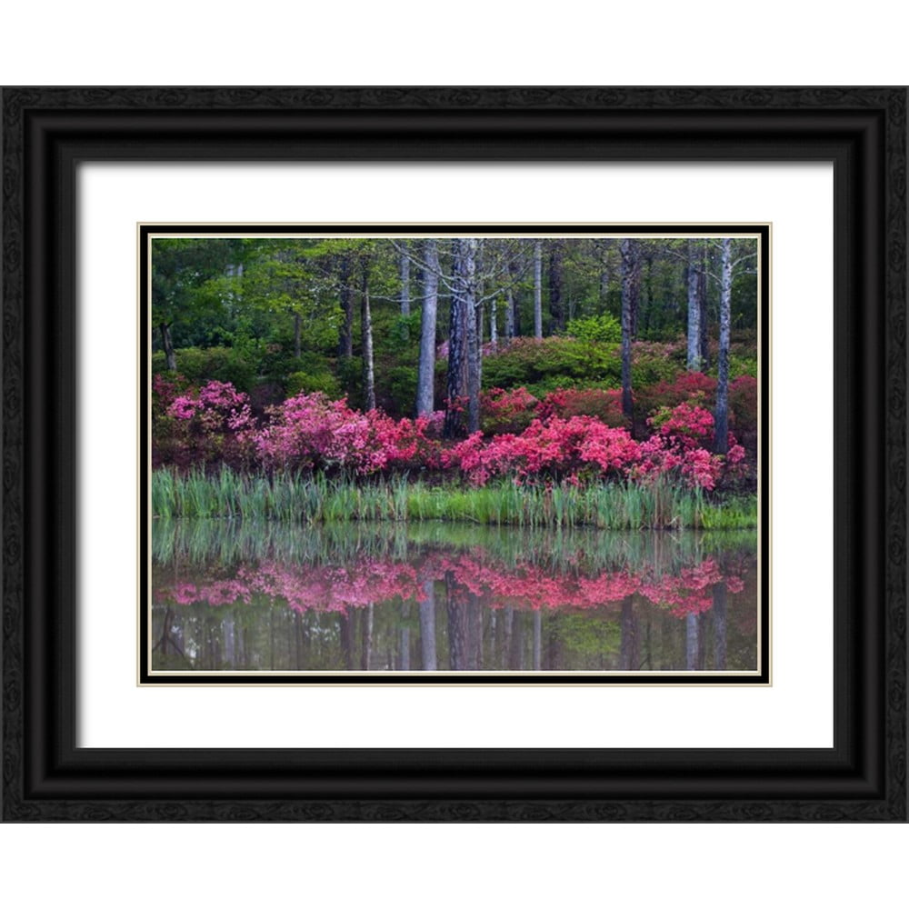 Rotenberg, Nancy 14x11 Black Ornate Wood Framed with Double Matting ...