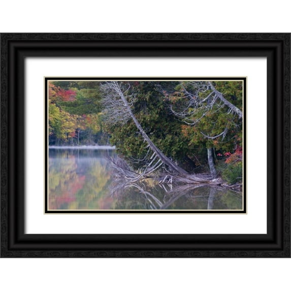 Rotenberg, Nancy 14x11 Black Ornate Wood Framed with Double Matting Museum Art Print Titled - MI, Petes Lake reflects autumn foliage