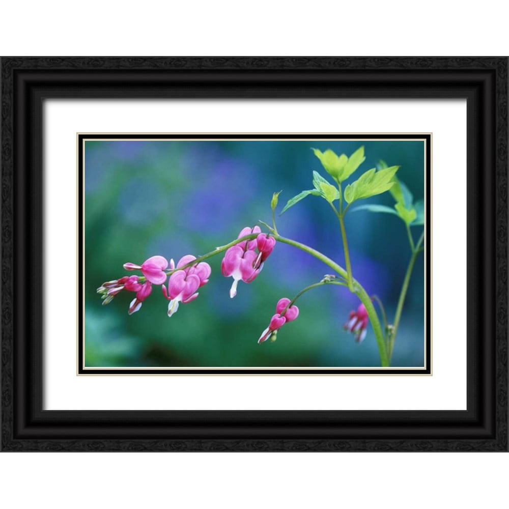 Rotenberg, Nancy 14x11 Black Ornate Wood Framed with Double Matting ...