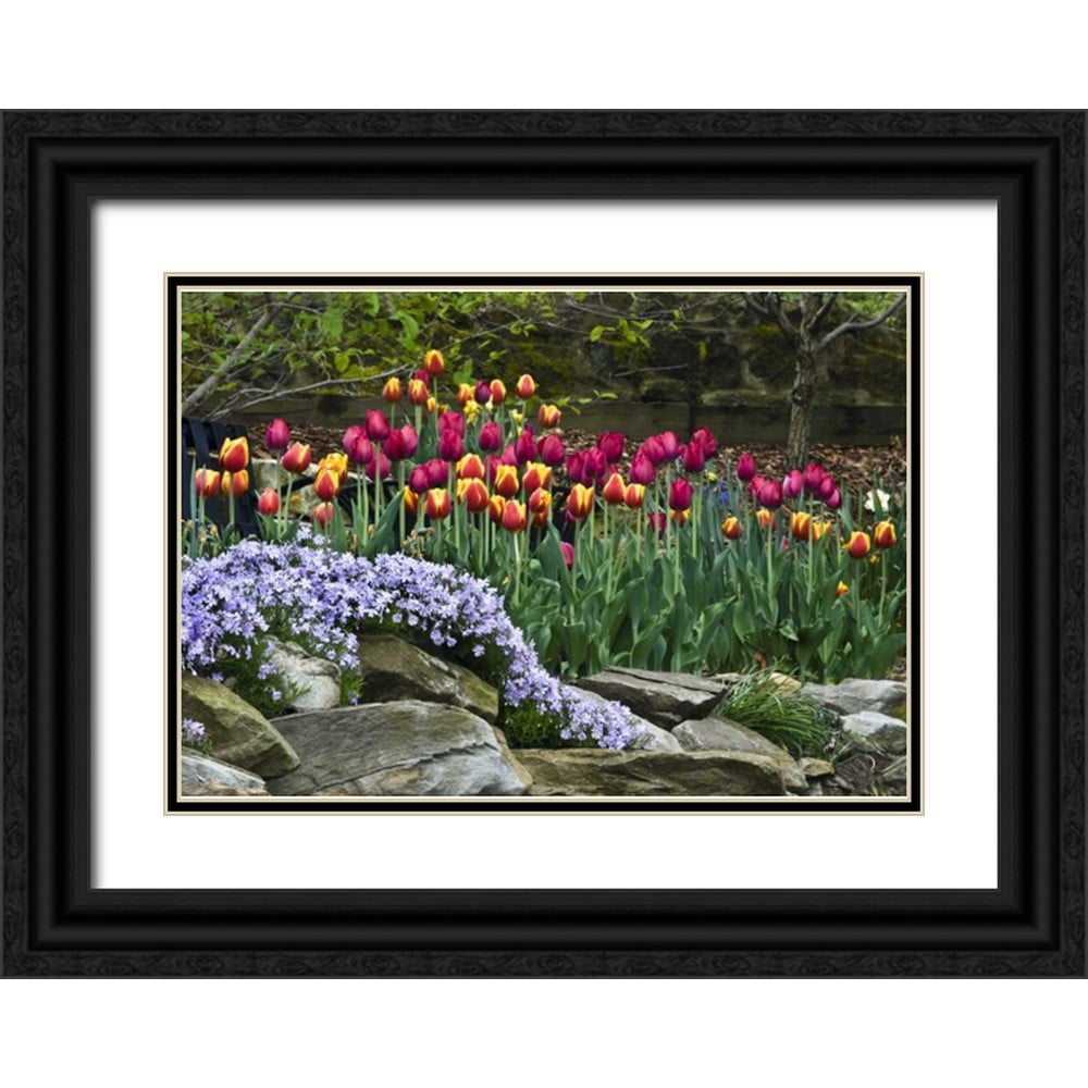 Rotenberg, Nancy 14x11 Black Ornate Wood Framed with Double Matting ...