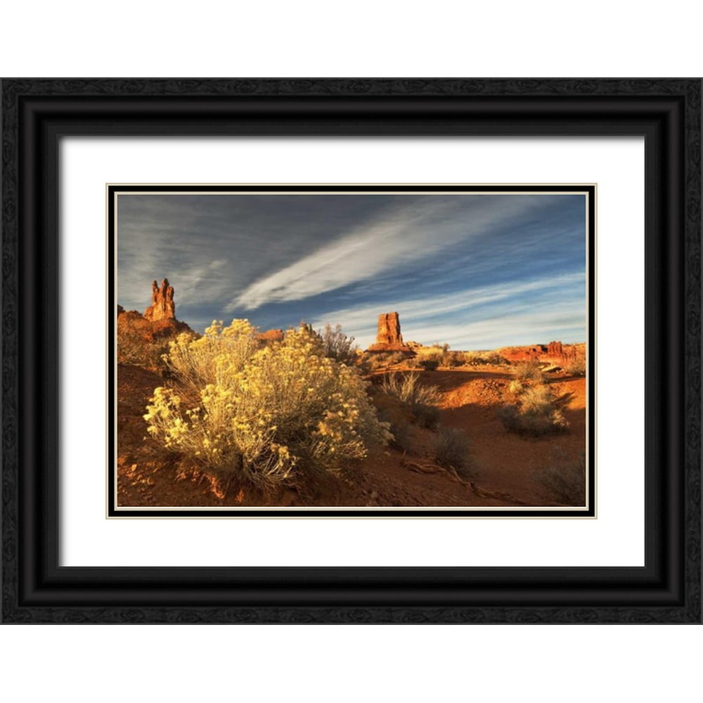 Rotenberg, Nancy 14x11 Black Ornate Wood Framed with Double Matting ...