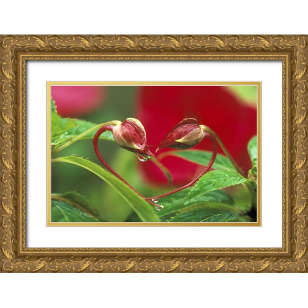 Rotenberg, Nancy 14x11 Gold Ornate Wood Framed with Double Matting ...