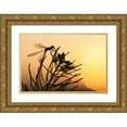 thumbnail image 1 of Rotenberg, Nancy 14x11 Gold Ornate Wood Framed with Double Matting Museum Art Print Titled - MT, Lee Metcalf NWR Silhouette of damselfly, 1 of 4