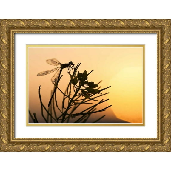 Rotenberg, Nancy 14x11 Gold Ornate Wood Framed with Double Matting Museum Art Print Titled - MT, Lee Metcalf NWR Silhouette of damselfly