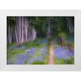 thumbnail image 1 of Rotenberg, Nancy 14x11 White Modern Wood Framed Museum Art Print Titled - CO, Crested Butte Fenced trail through lupine, 1 of 4