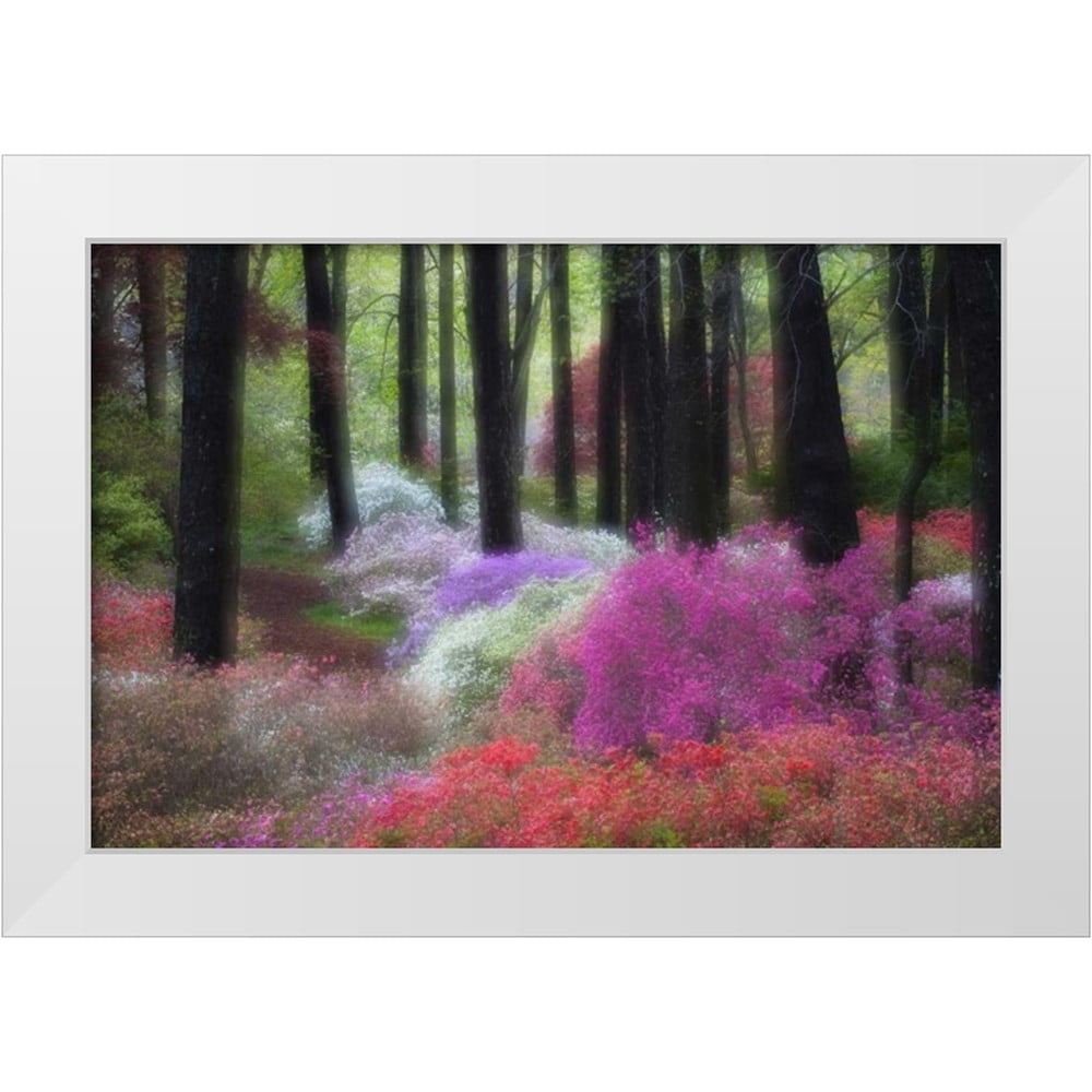 Rotenberg, Nancy 14x11 White Modern Wood Framed Museum Art Print Titled ...