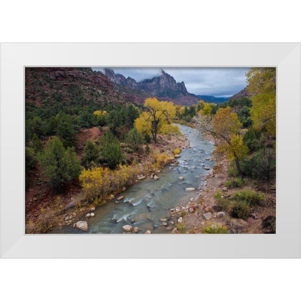 Rotenberg, Nancy 14x11 White Modern Wood Framed Museum Art Print Titled ...