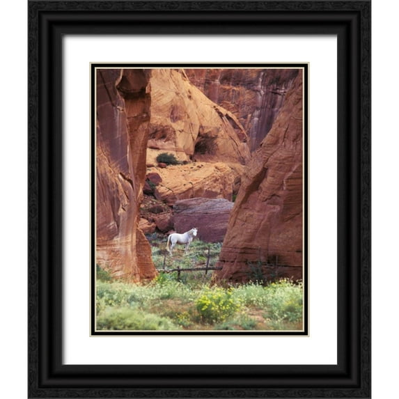 Rotenberg, Nancy 15x18 Black Ornate Wood Framed with Double Matting Museum Art Print Titled - AZ, White Mts, Canyon de Chelly, White horse
