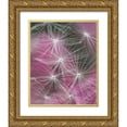 thumbnail image 1 of Rotenberg, Nancy 15x18 Gold Ornate Wood Framed with Double Matting Museum Art Print Titled - Dandelion seeds with feathery tentacles, 1 of 4