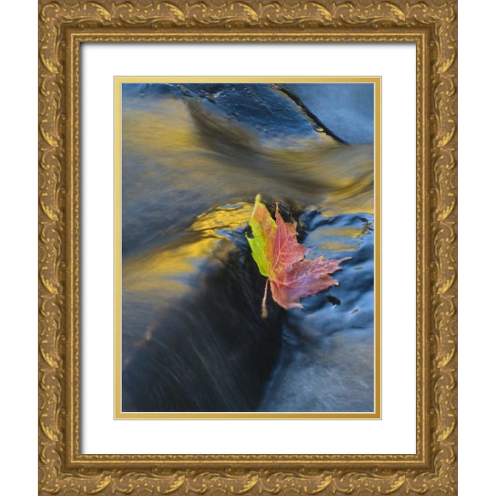 Rotenberg, Nancy 15x18 Gold Ornate Wood Framed with Double Matting ...