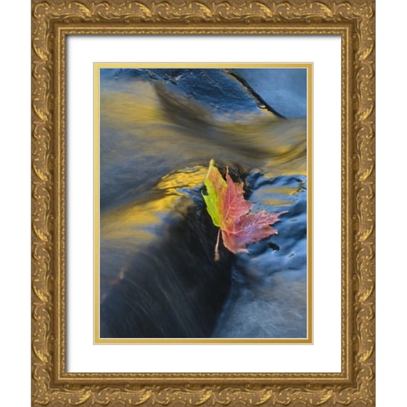 Rotenberg, Nancy 15x18 Gold Ornate Wood Framed with Double Matting Museum Art Print Titled - NY, Adirondack Mts Maple leaf floats downstream