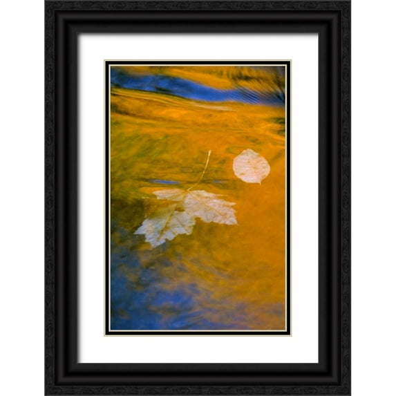 Rotenberg, Nancy 17x24 Black Ornate Wood Framed with Double Matting Museum Art Print Titled - Fall reflections in water