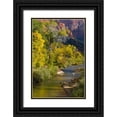 thumbnail image 1 of Rotenberg, Nancy 17x24 Black Ornate Wood Framed with Double Matting Museum Art Print Titled - UT, Zion NP Virgin River and cottonwood trees, 1 of 4