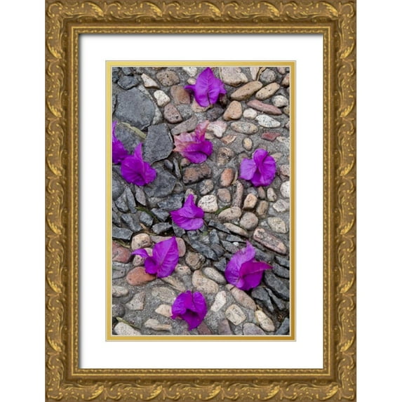 Rotenberg, Nancy 17x24 Gold Ornate Wood Framed with Double Matting Museum Art Print Titled - Mexico, Bougainvillea petals on cobblestones