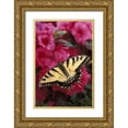 thumbnail image 1 of Rotenberg, Nancy 17x24 Gold Ornate Wood Framed with Double Matting Museum Art Print Titled - Pennsylvania Swallowtail butterfly on azalea, 1 of 4